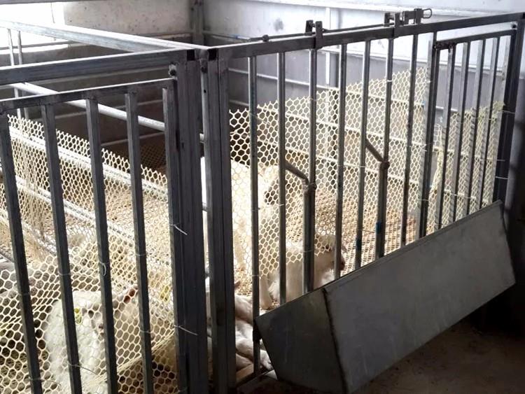 sheep stall 0.jpg